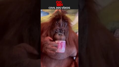 hora do lanche 😂😂😂