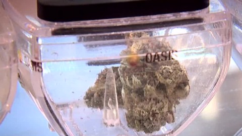 Cannabis still cash only business as sales begin in Nevada