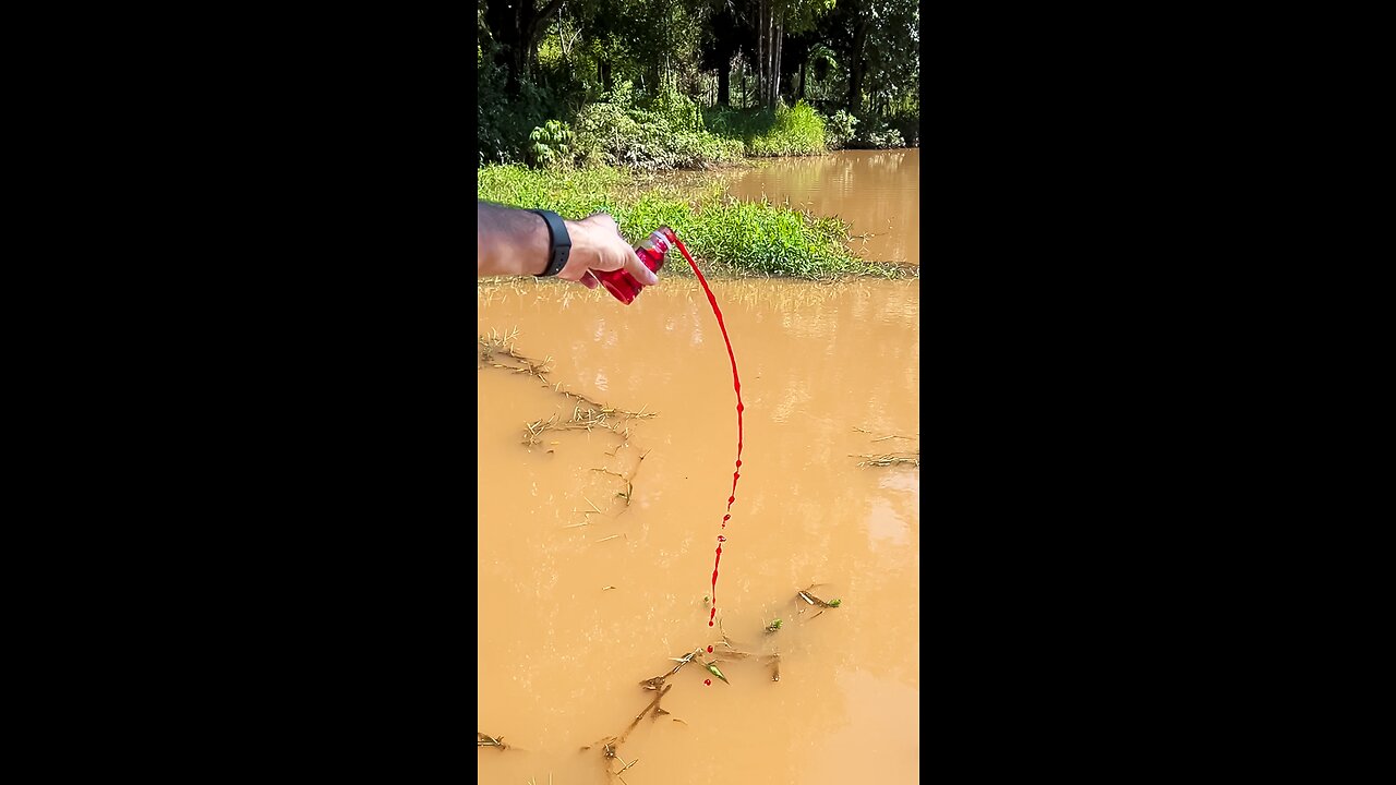 This concentrated worm bait catches all FISH in fishing 🐟🎣