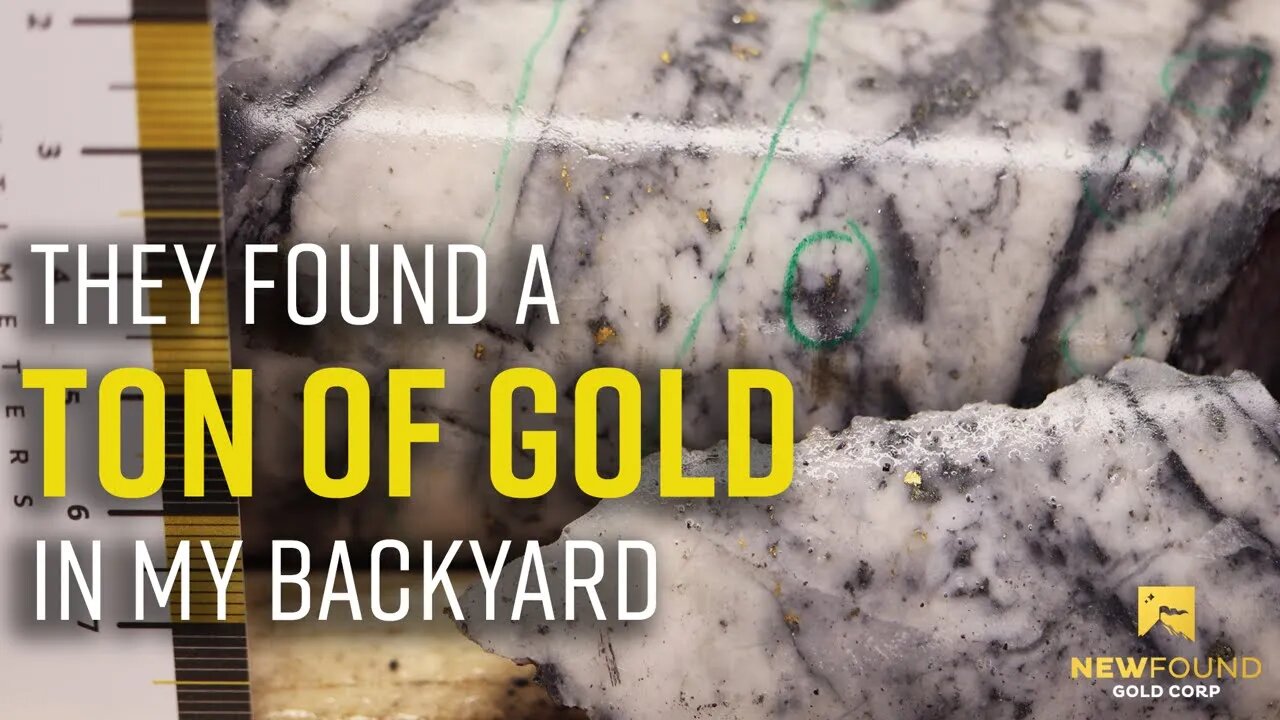 Michael Regular: In My Backyard - New Found Gold (TSX-V:NFG, OTC:NFGFF)