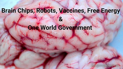 Brain Chips, Robots, Vaccines, Free Energy & One World Government