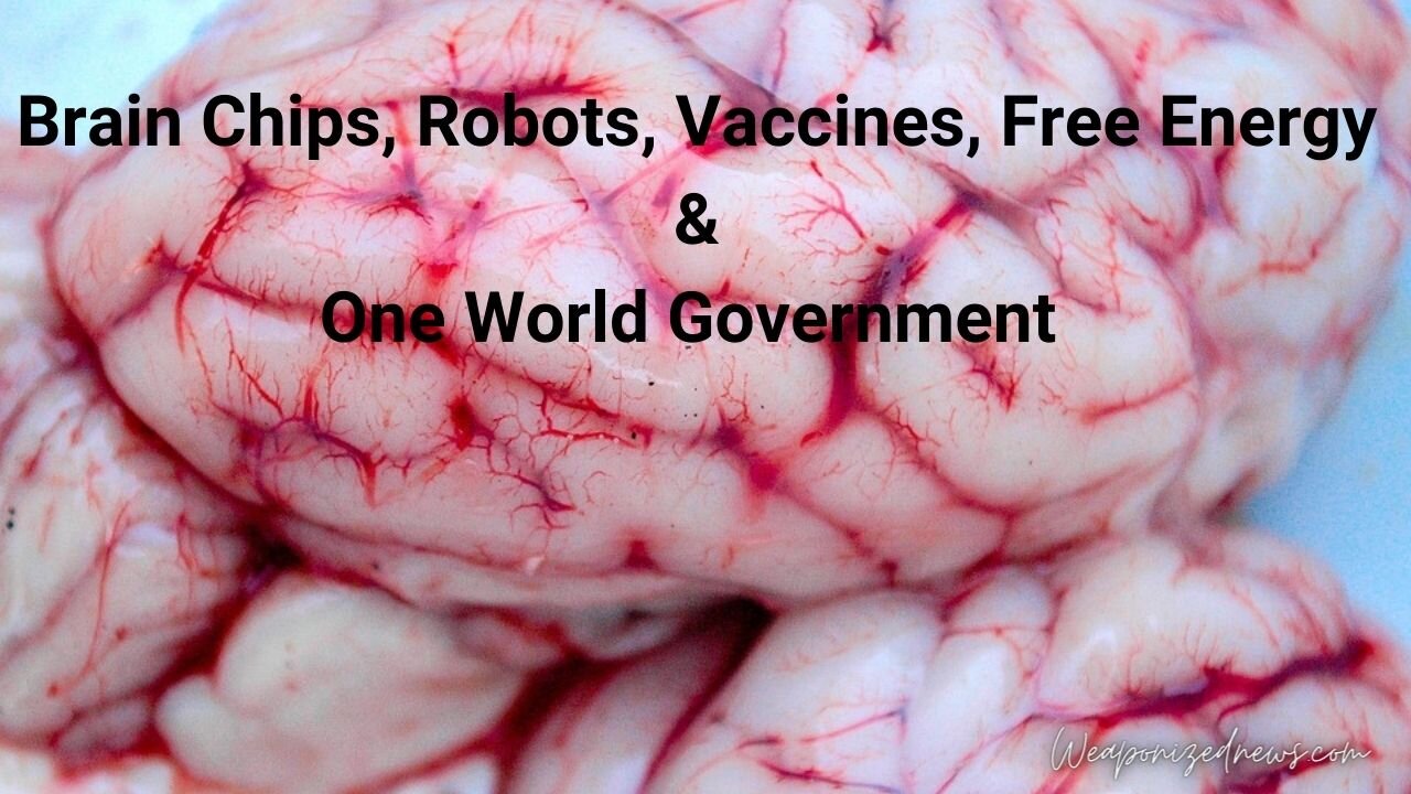 Brain Chips, Robots, Vaccines, Free Energy & One World Government