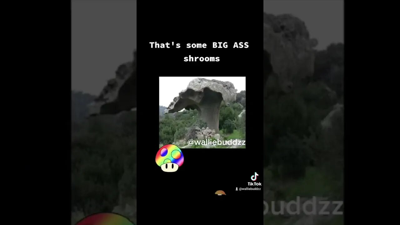 Mushrooms