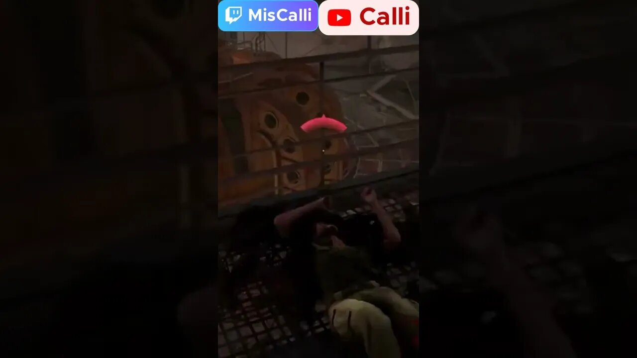 Rats