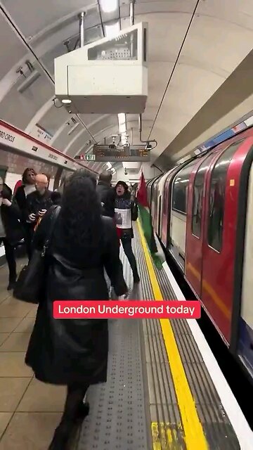 Unhinged woman waving a Palestinian flag screams abuse at a British army VETERAN on the London