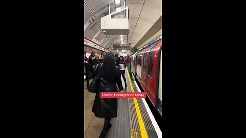 Unhinged woman waving a Palestinian flag screams abuse at a British army VETERAN on the London