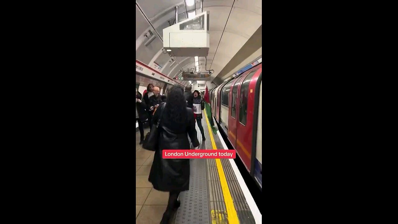 Unhinged woman waving a Palestinian flag screams abuse at a British army VETERAN on the London