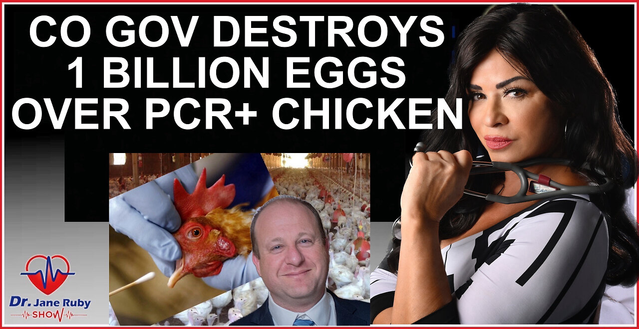 CO GOV DESTROYS 1 BILLION EGGS OVER FALSE +PCR CHICKEN