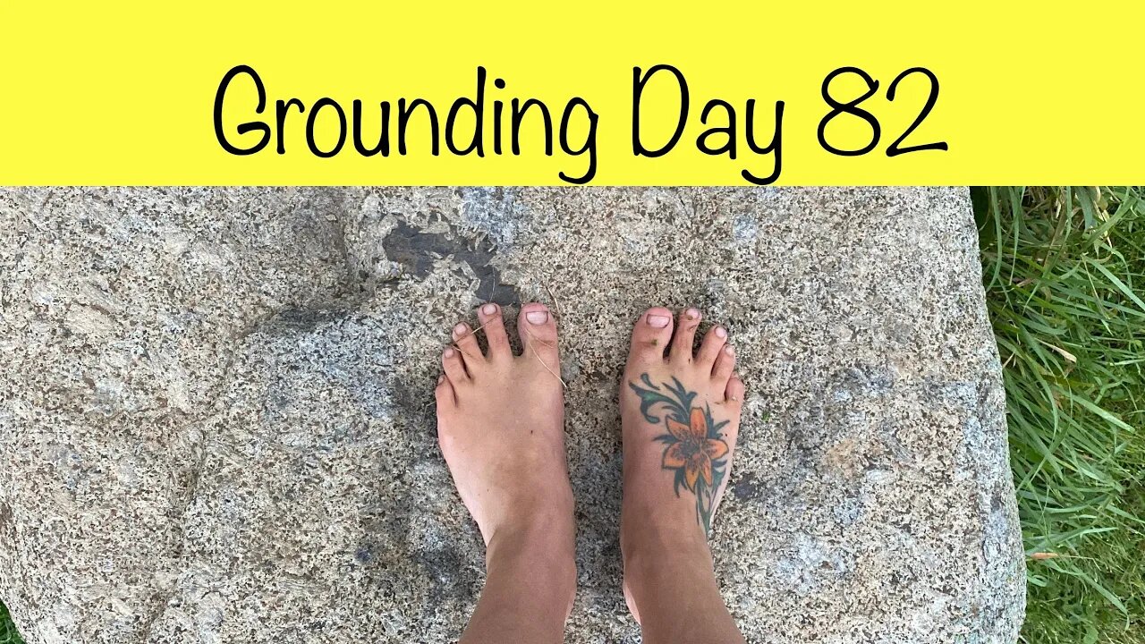 Grounding Day 82 - puppy paws