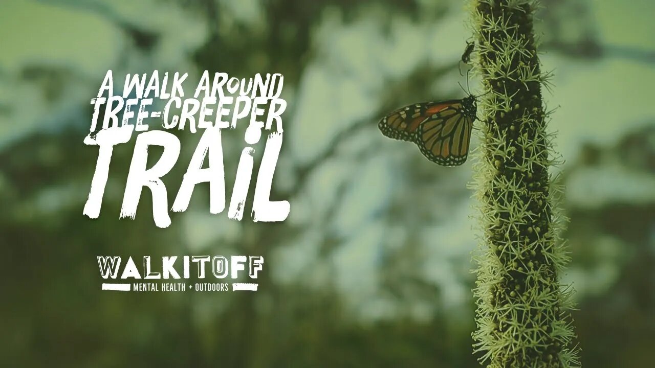 A Walk Around Tree Creeper Trail