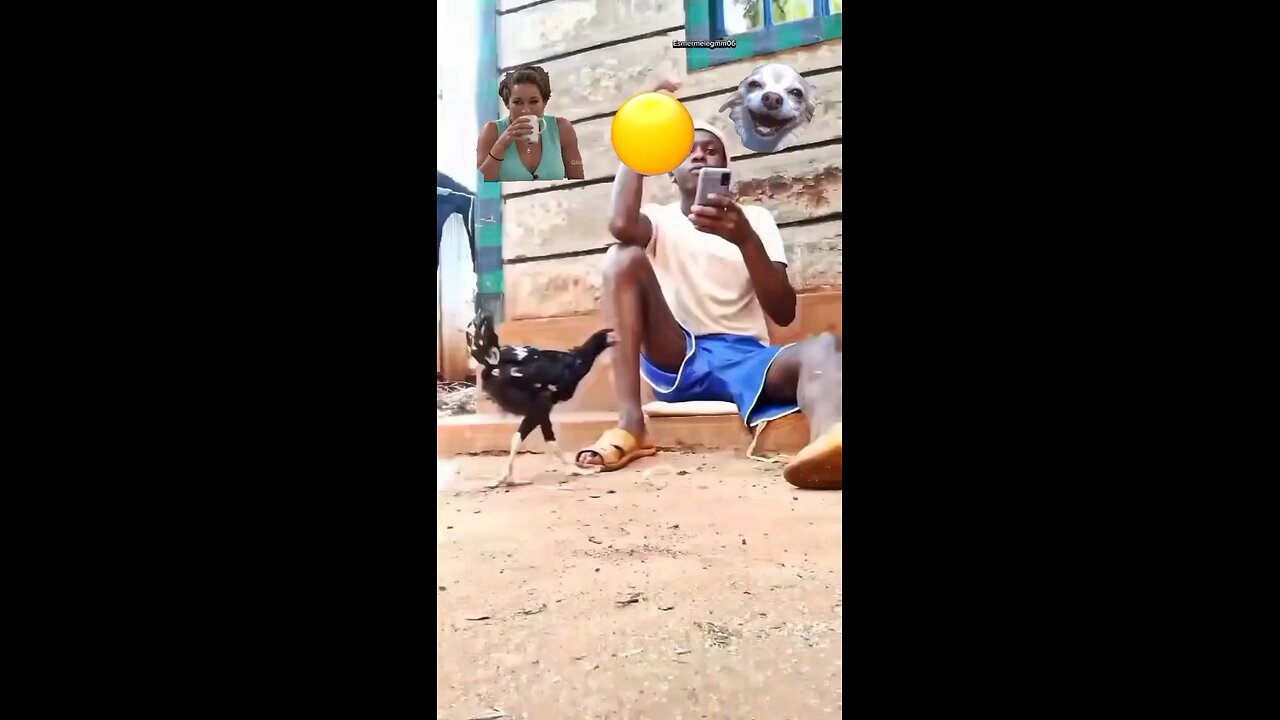 funny videos