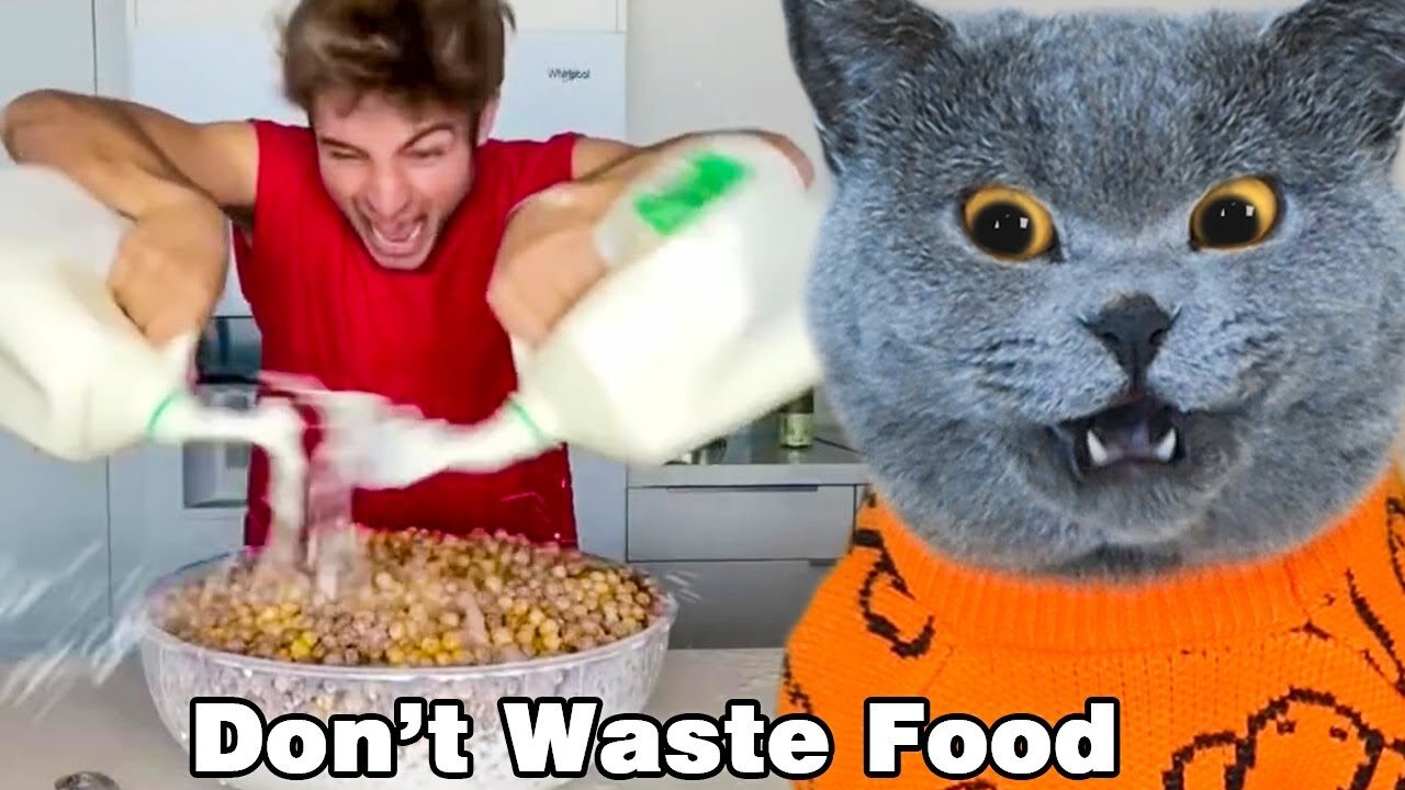 Just Use A Little Oscar! Its Not Good To Waste Food😥👀| Oscars Funny Life | Cute and Funny Cat #5