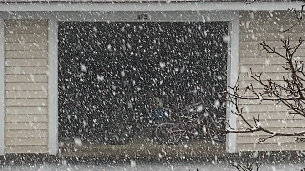 February 2020 snow in Indianapolis 