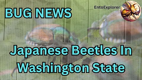 Bug News - Japanese Beetles Invade Washington State