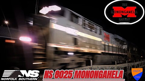 Ns 8025 Monongahela Heritage Unit Flys through Bainbridge ny on southbound 30t