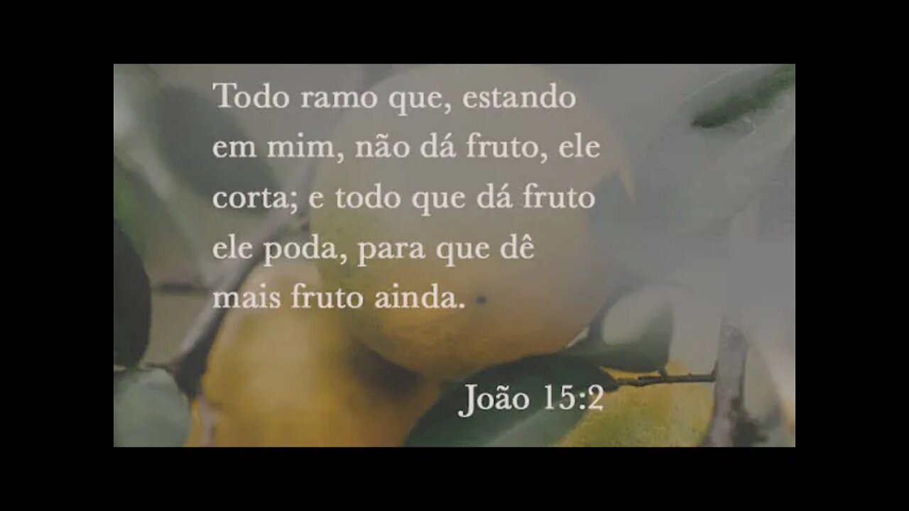 Reflexão Bíblica sobre João 15:1-2