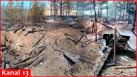 Drone turned to ashes Russian camp and D-30 howitzer in Kherson forest - Video footage