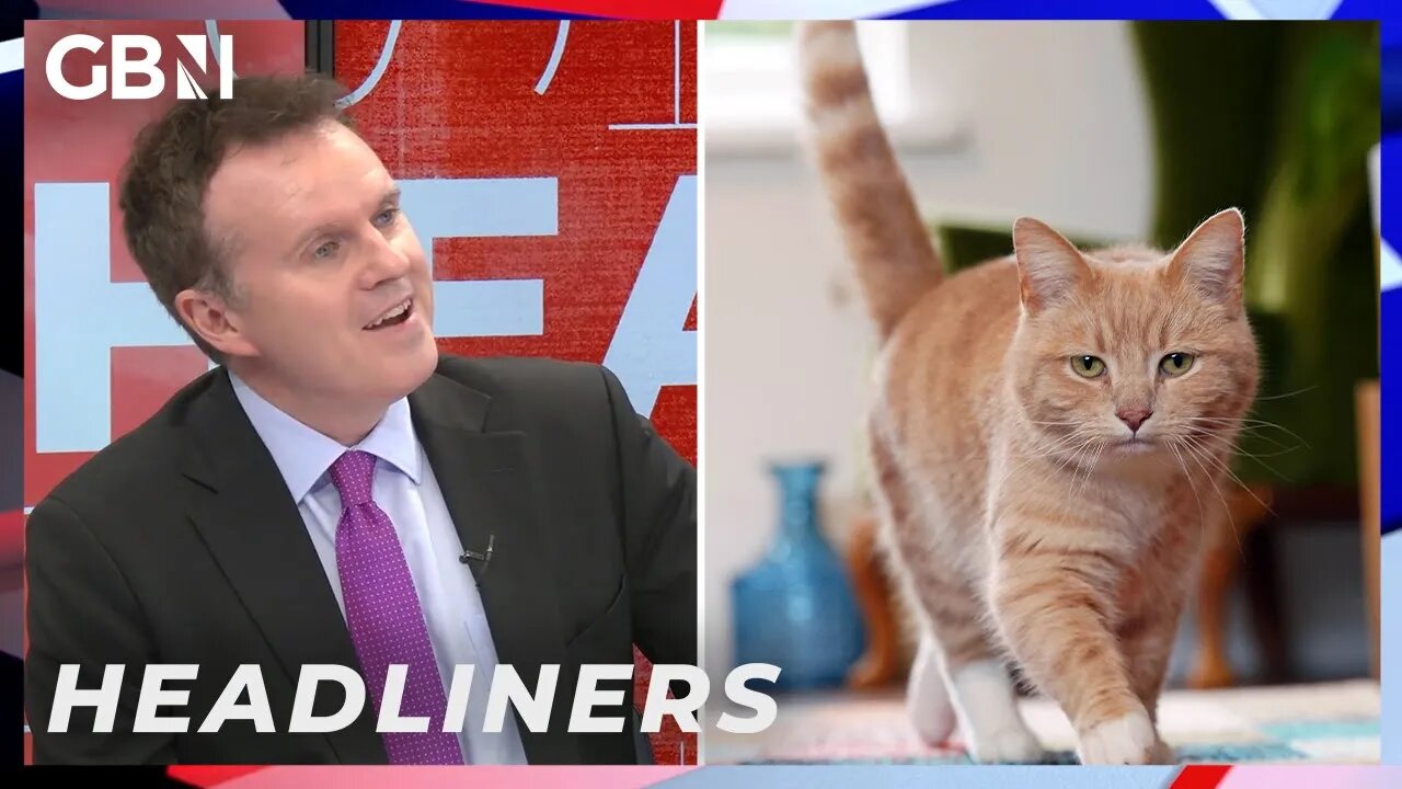 Government let students identify as cats because vets are cheaper than the NHS?! | Headliners