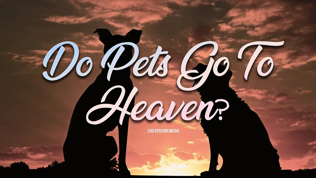 Do Pets Go to Heaven?