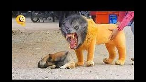 Prank Dog Funny and fake Lion and Fake Tiger Prank To dog