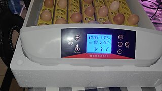 Imseigo 56 Egg Incubator with Humidity Display