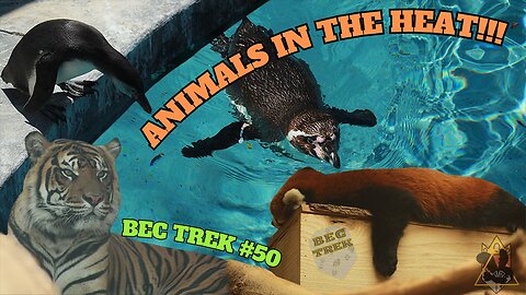 I Visited A Zoo In 90+ DEGREE HEAT (what is wrong with me?) | BEC TREK Episode 50