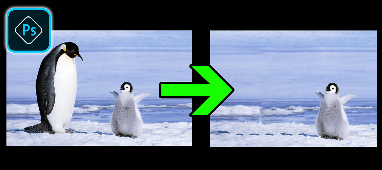 Hoe to remove a unwanted subject from a picture.