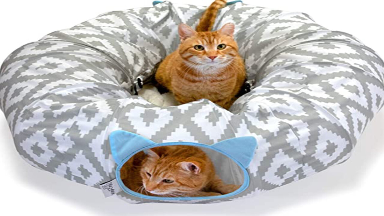 Cat Bed, Pop Up bed, Cat Toys funny cat