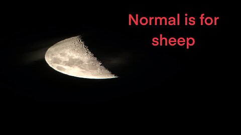 Normal is for sheep