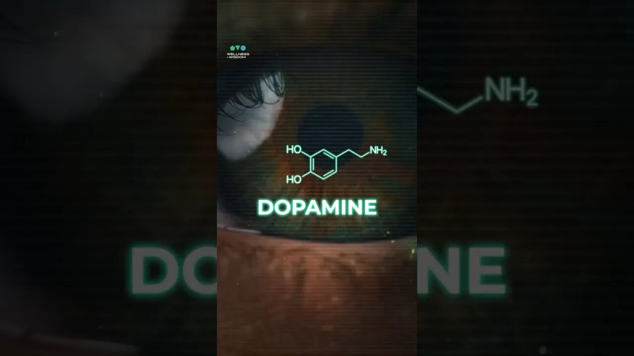 The power of nootropics 🔥 #nootropics #brainpower #brainhealth #nootropic