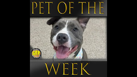 ARA Pet of the week 8/17