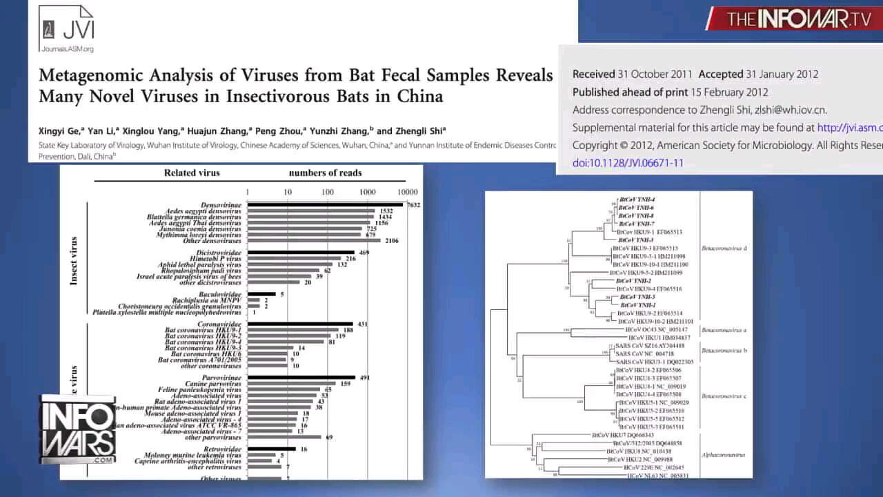 DR JUDY MIKOVITS EXPOSES THE PLAN TO IMPLANT HUMANITY WITH CANCER VIRUSES