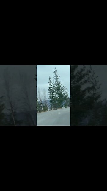 Going to the Sun Road - Glacier National Park Montana