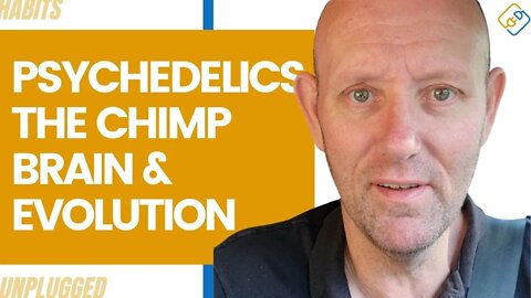 Psychedelics, The Chimp Brain, & Evolution