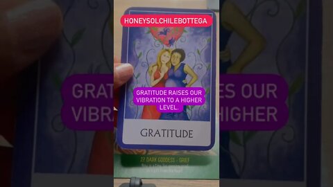 ✨GRIEF/GRATITUDE ✨ #SUBSCRIBE TO MY YOUTUBE & RUMBLE CHANNEL #lightworker #tarot#selflove