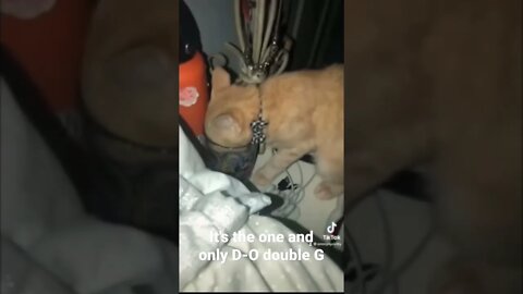 MEME is the one and only D-O double G #shorts