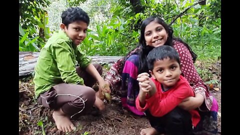 World Environment Day June 5: What is done ever?