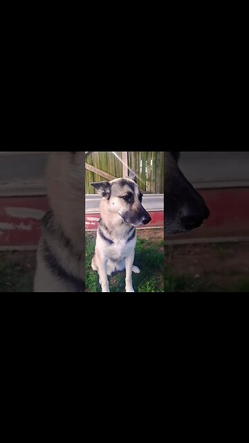 Cleaning Sleep From Maples Eyes