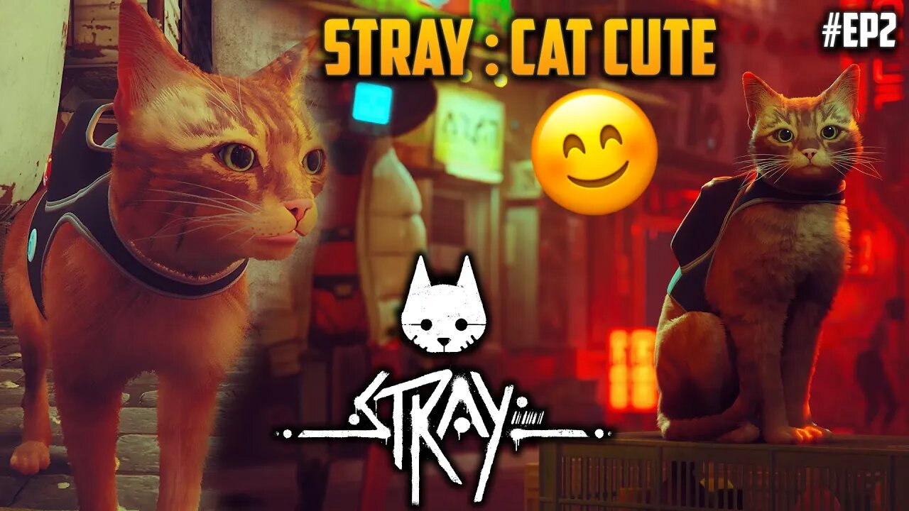 Stray : Cat Cute : stuck #ep2