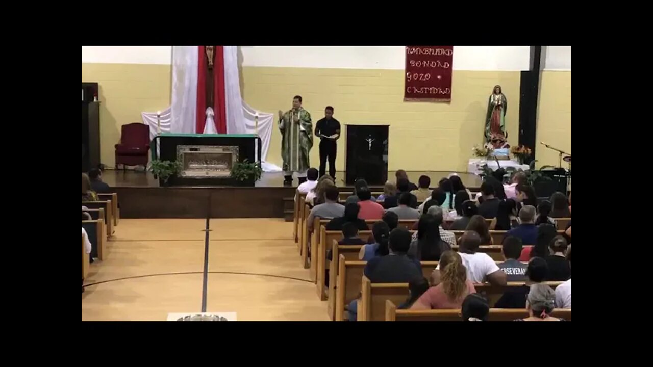 La palabra, alimento sólido. Padre Luis Toro.