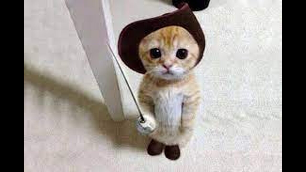 look how cute lol