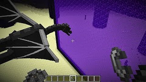 what if the dragon goes to nether