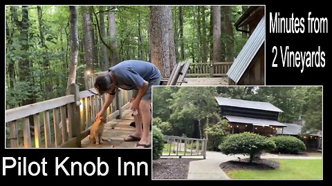 Cabins in the Woods: Pilot Knob Inn 7 to 12 minutes to 2 Vineyards