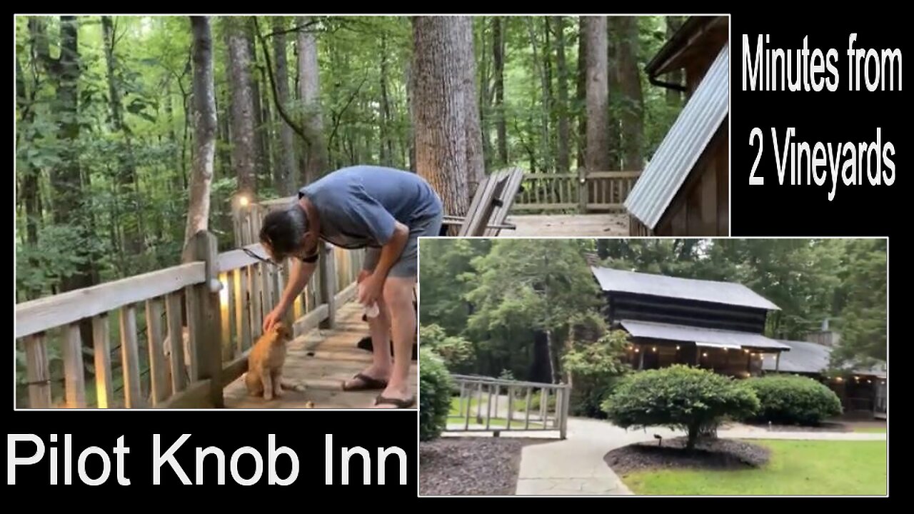 Cabins in the Woods: Pilot Knob Inn 7 to 12 minutes to 2 Vineyards