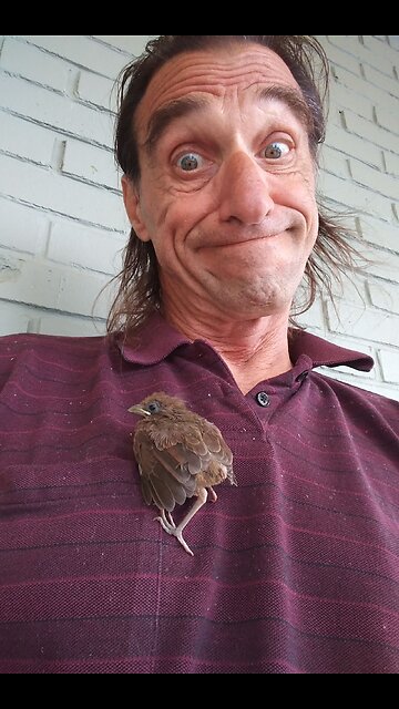 Baby Bird a little thirsty...