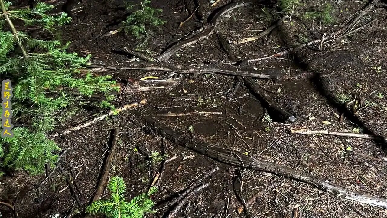 Camping alone in the wilderness, it's nice to fall asleep to the sound of rain.24