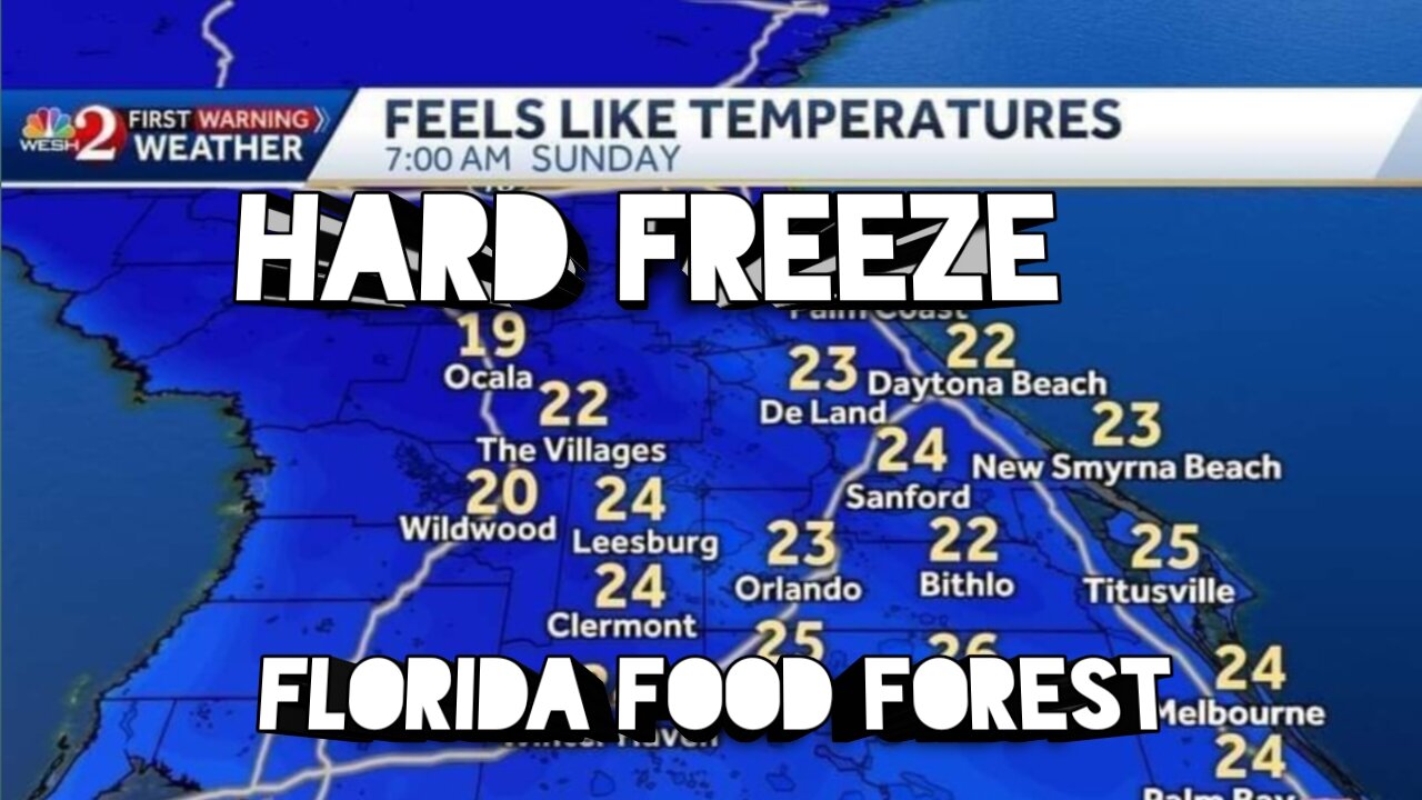 Hard Freeze hits Florida