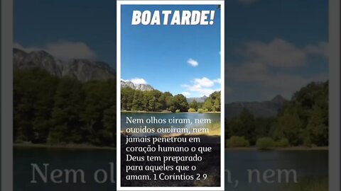 VERSÍCULO DO DIA 03/08/2022.#shortsvideo
