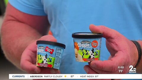 Ben and Jerry's Doggie Desserts in Baltimore