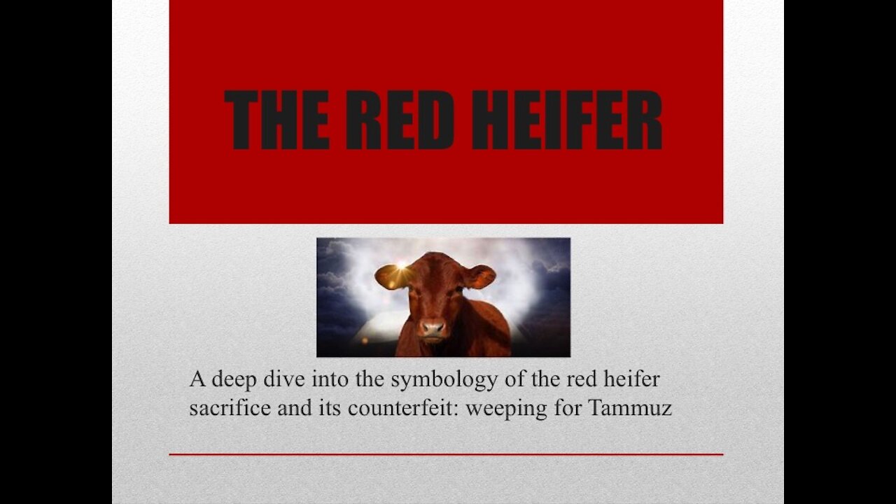 The Red Heifer Part 1: From the Garden to the Kingdom